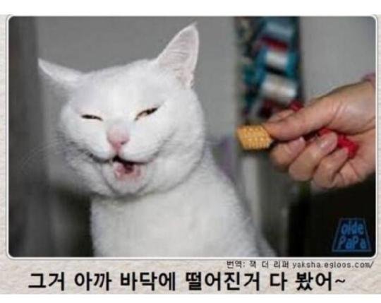20251026100234_LKXHv4Pg7f.jpeg