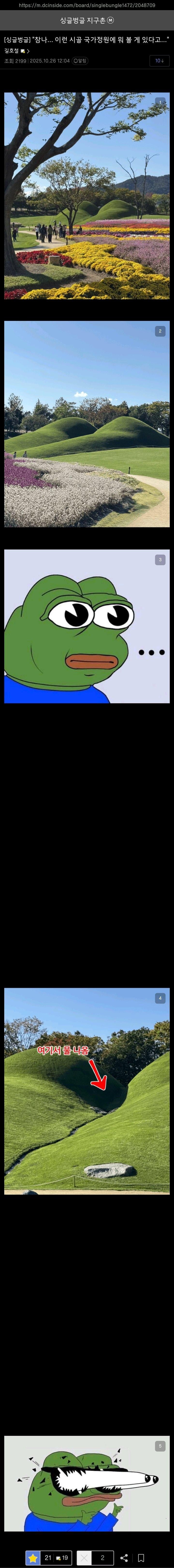 20251026145136_eKukxlKjX2.jpg