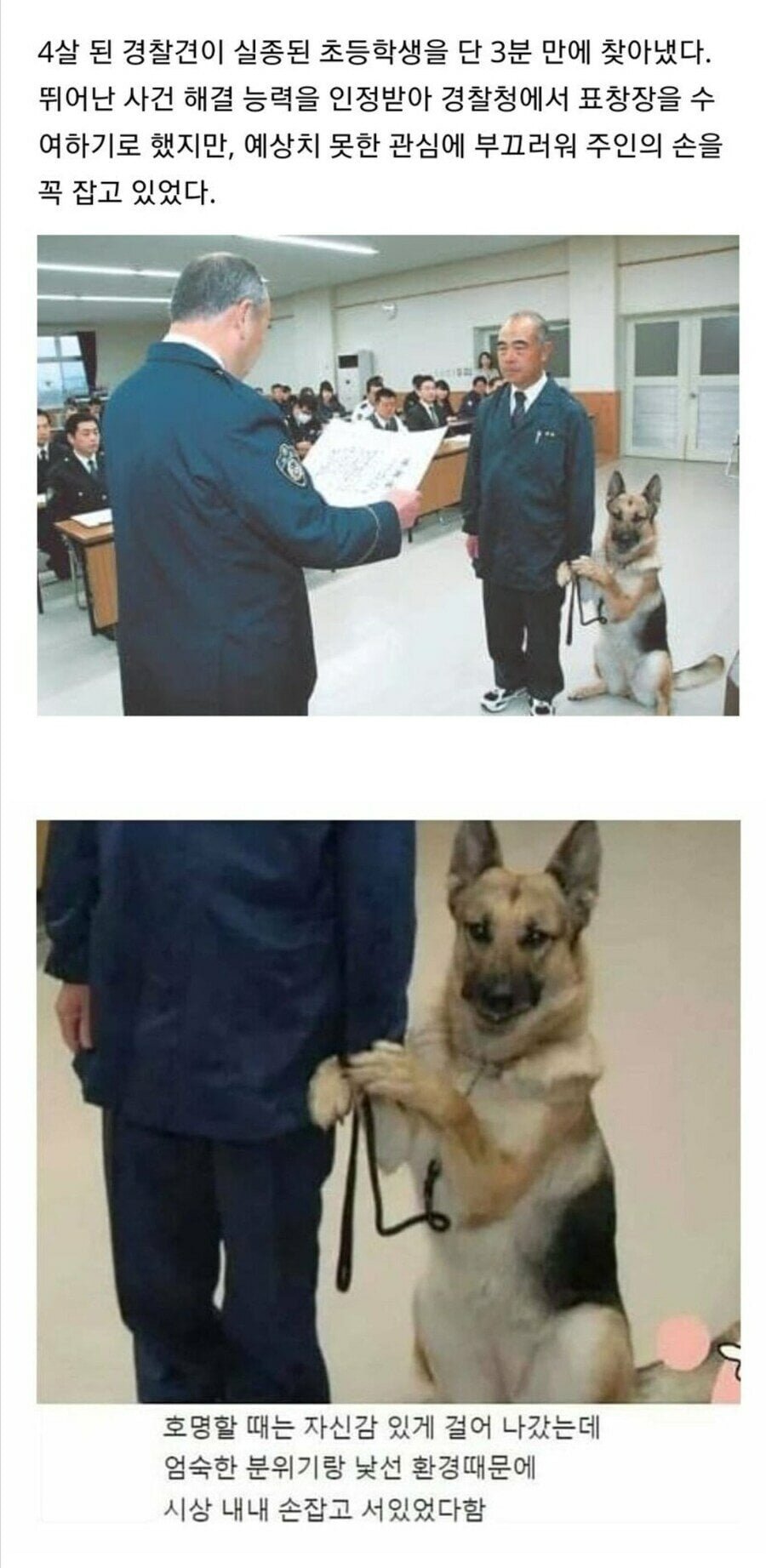 20251027113959_bNqQoavtFD.jpg