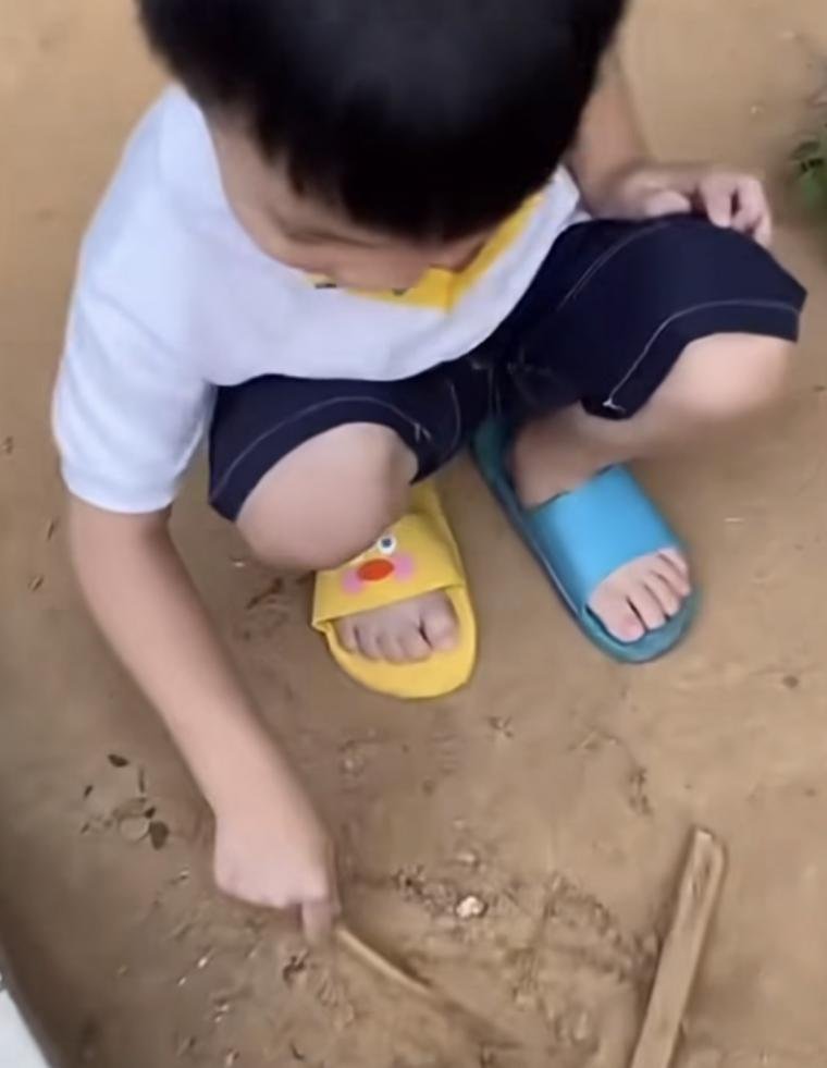 20251027153555_qiSn2UNHYo.jpg