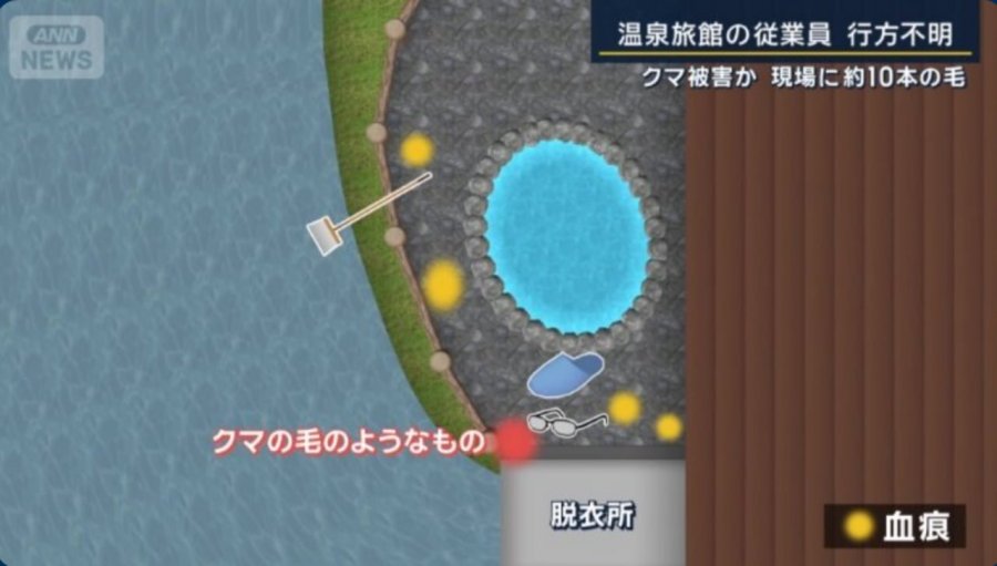900w_20251017025620_Q6b61pkWVh.png