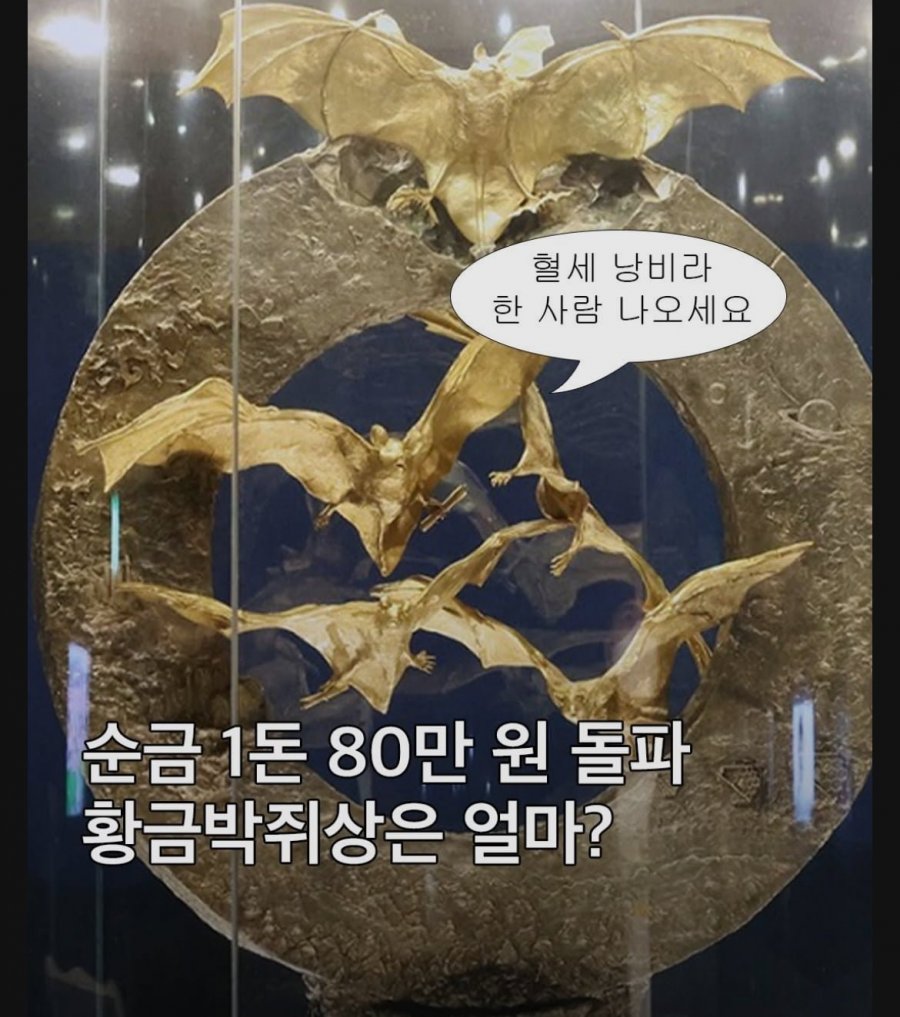 900w_20251020182203_sUo7OZpguv.jpeg