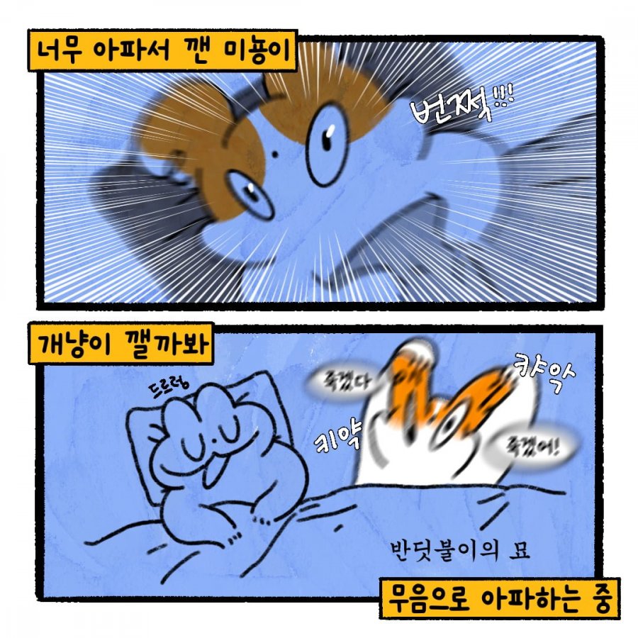 900w_20251021005011_UBWxnbMxpw.png