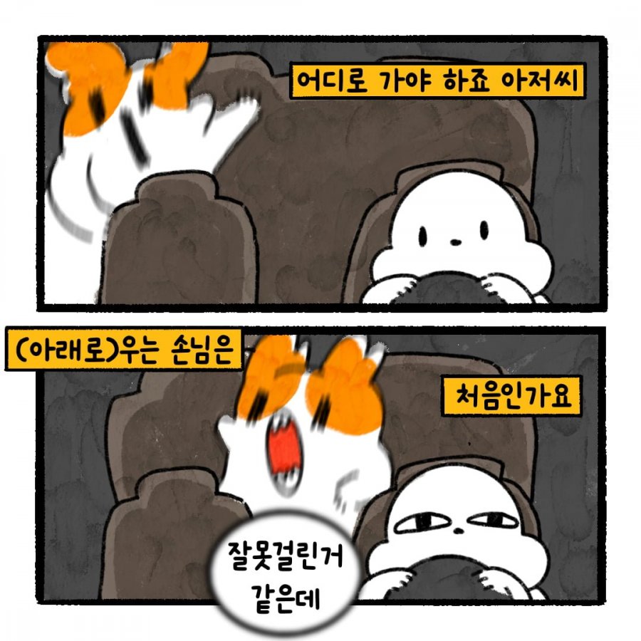 900w_20251021005016_okI7IiFdiE.png