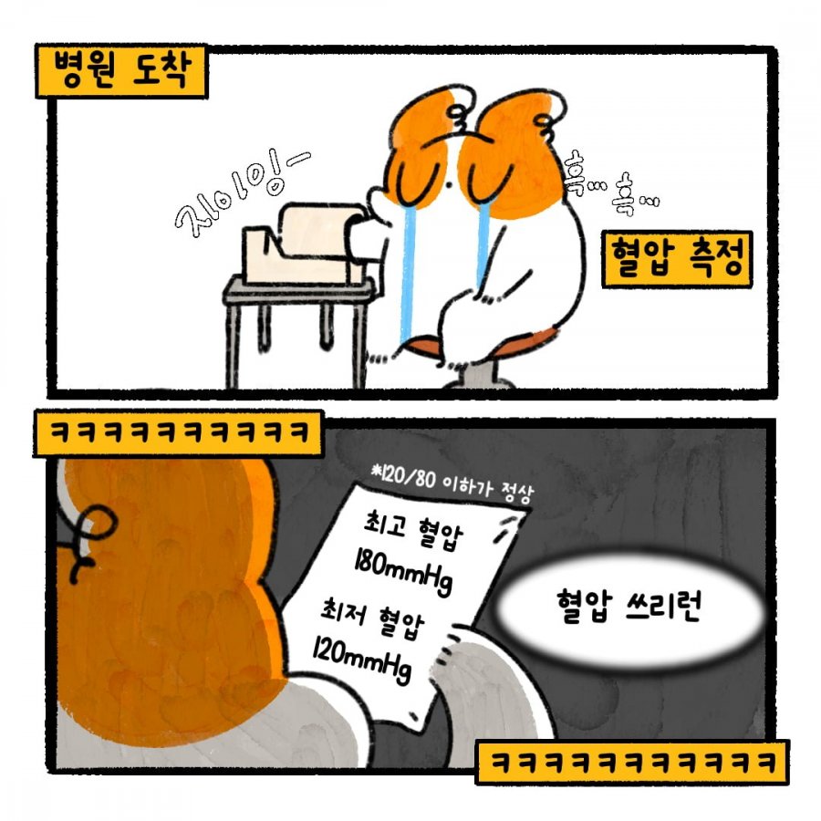 900w_20251021005018_aDXyF4nu0n.png