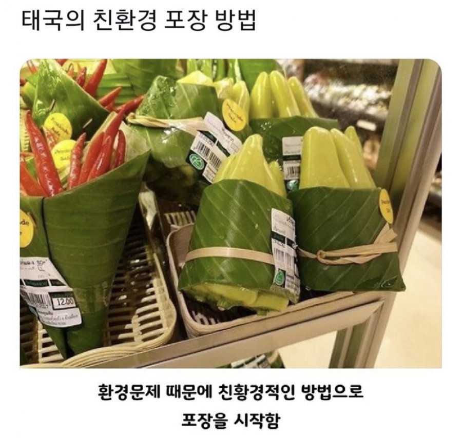 900w_20251022112604_YNhcQwkCHa.jpeg