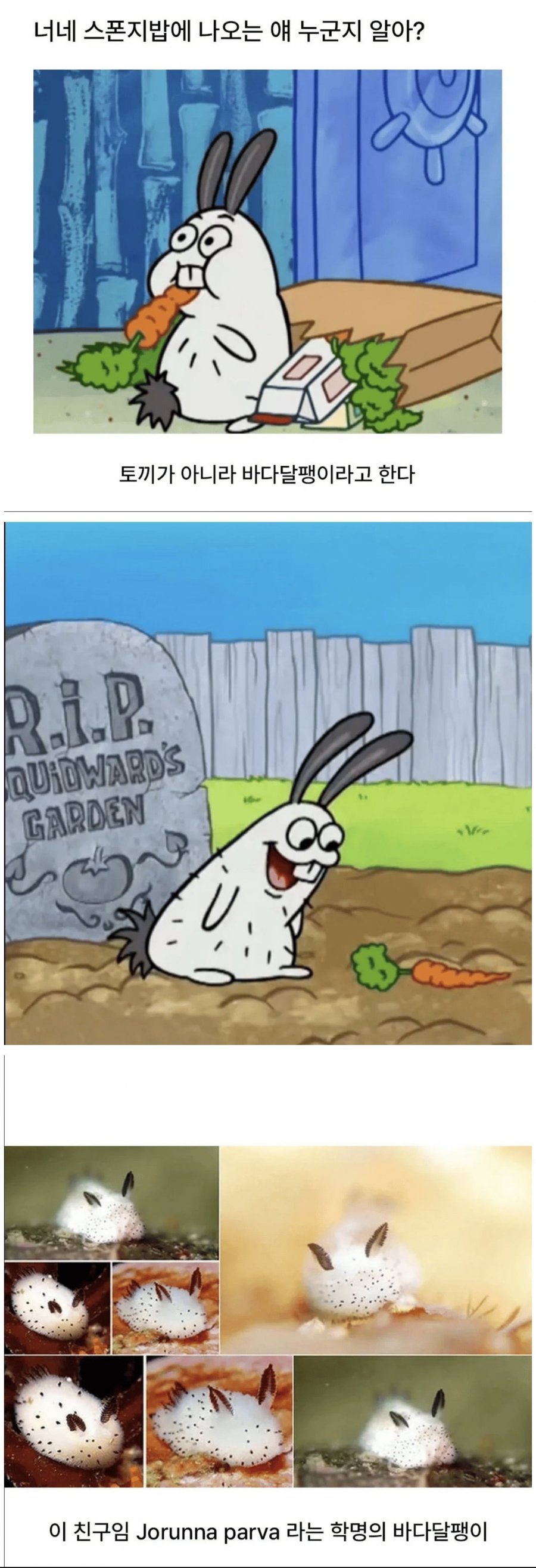 900w_20251023141230_JIdd4Ywa3f.png